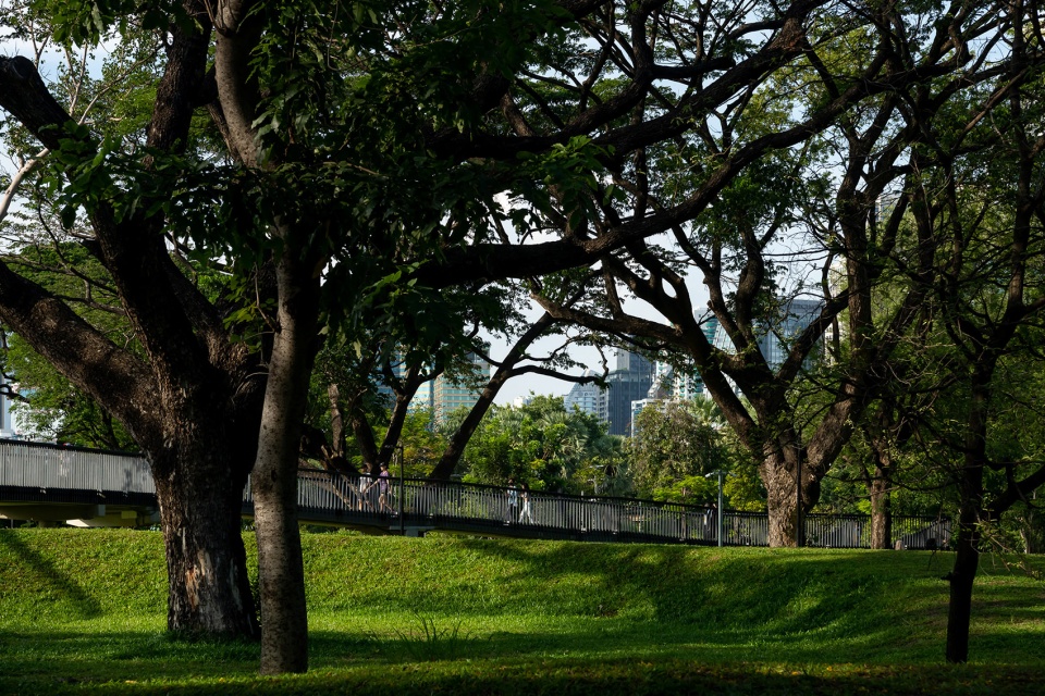 benjakitti forest park by arsomsilp community and environmental architect co ltd
