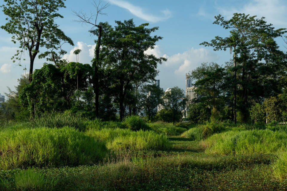 benjakitti forest park by arsomsilp community and environmental architect co ltd