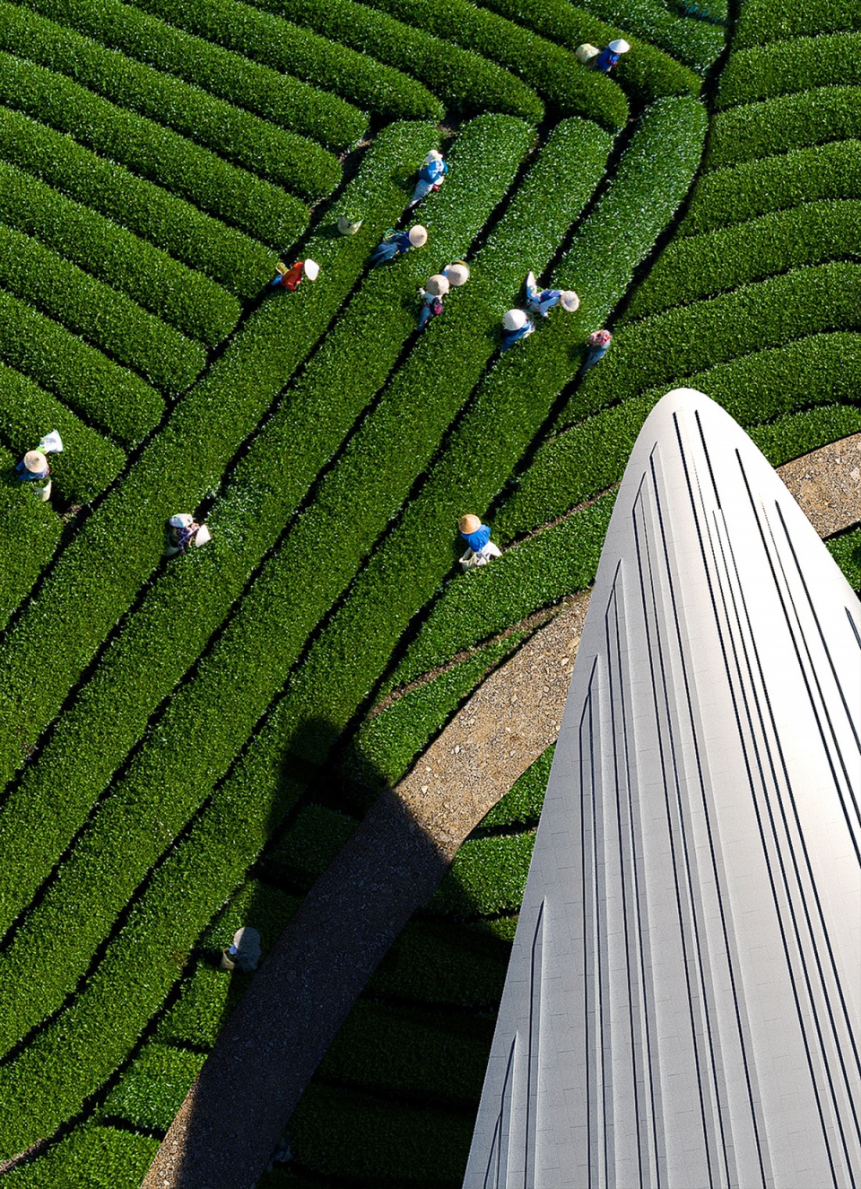 anji culture and art center by mad