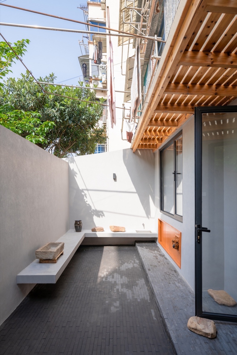 home in shimoriver 9 狗狗的观察窗口©DONG建筑影像