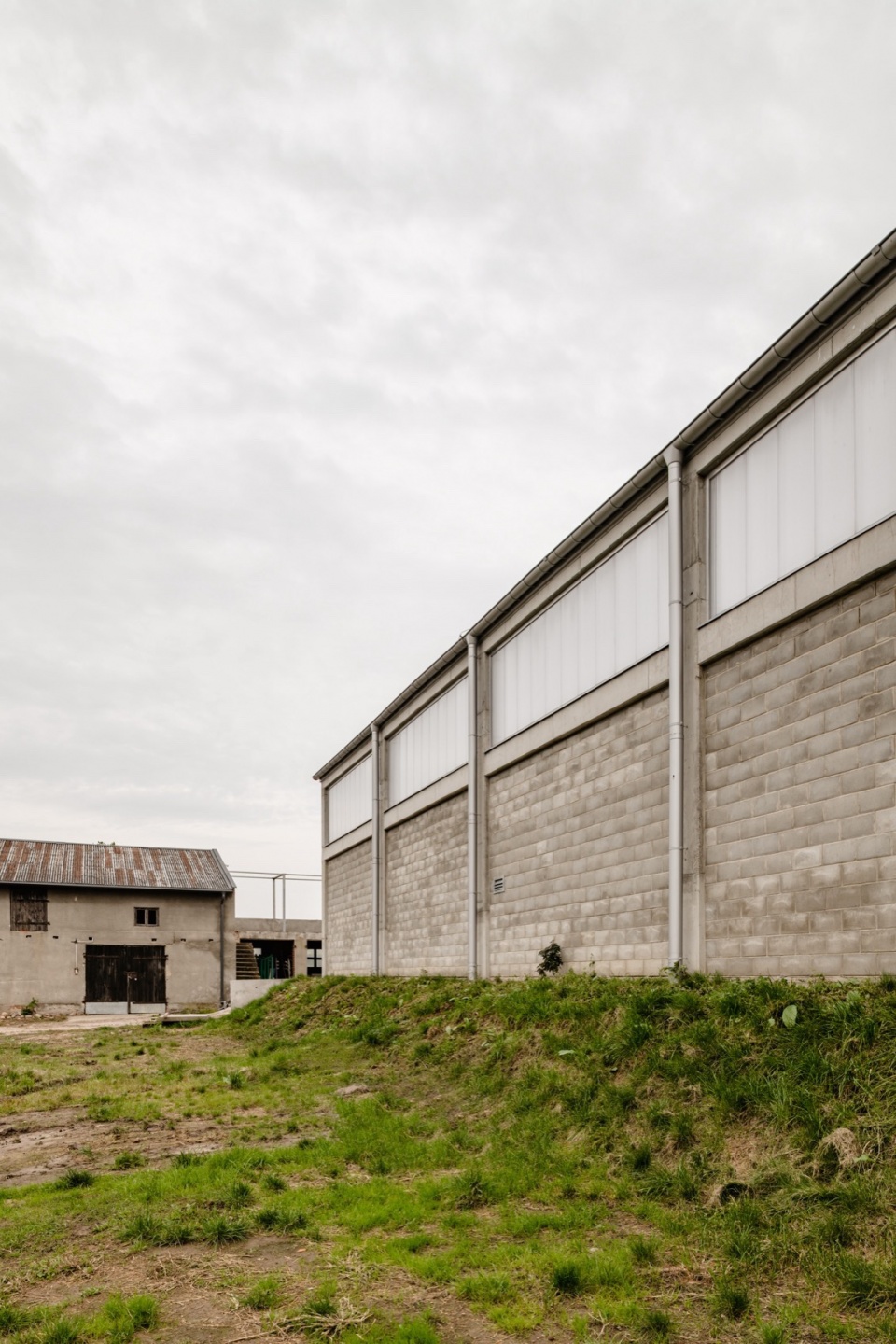 horse house wiercinski studio 11