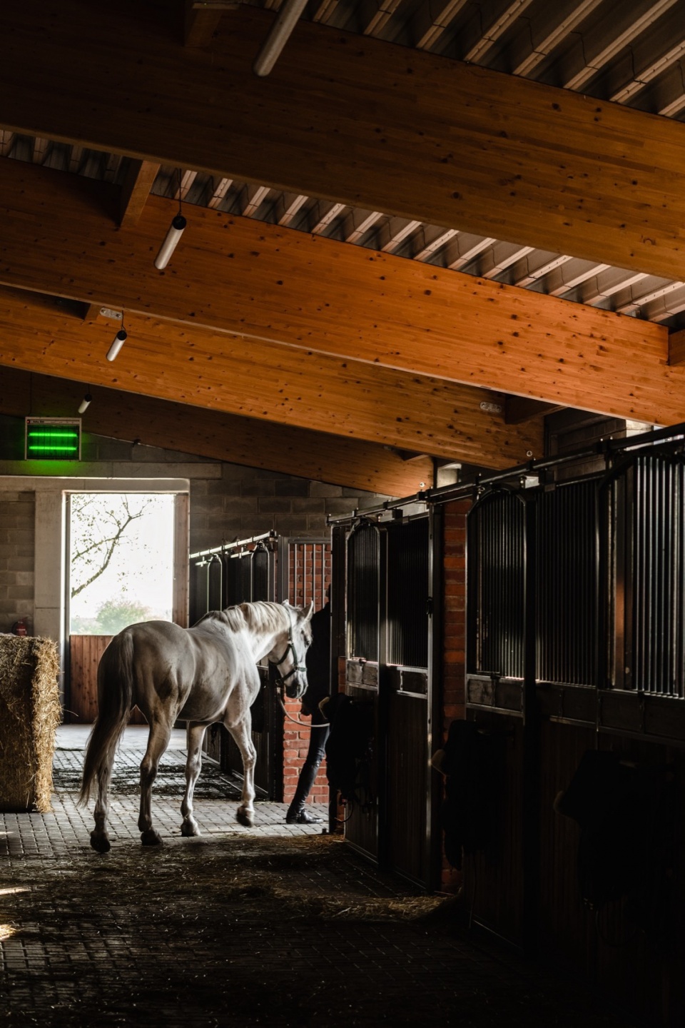 horse house wiercinski studio 29