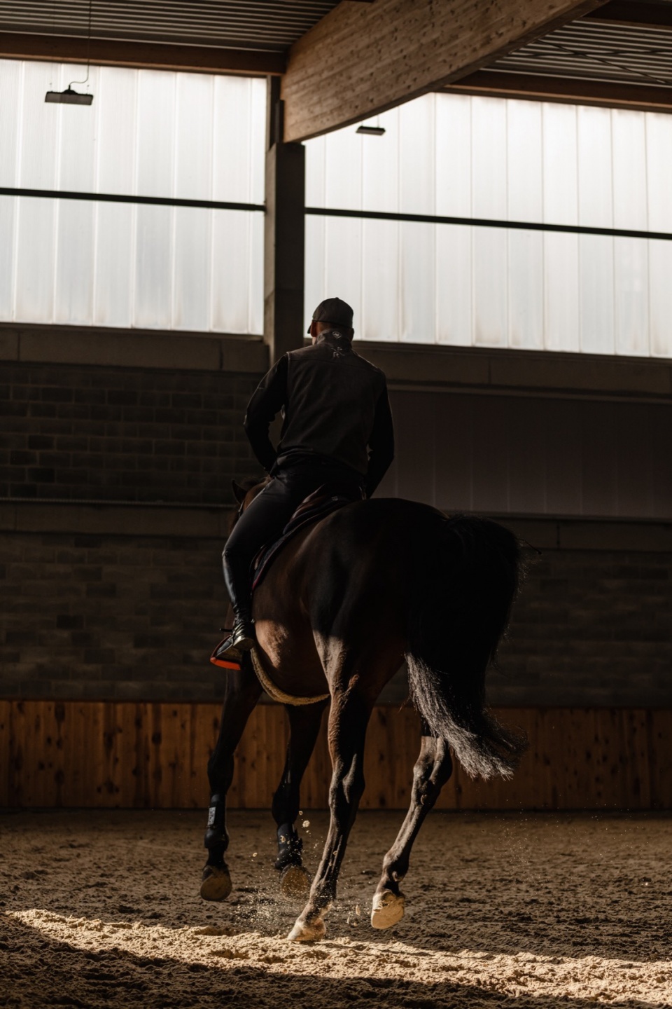 horse house wiercinski studio 43