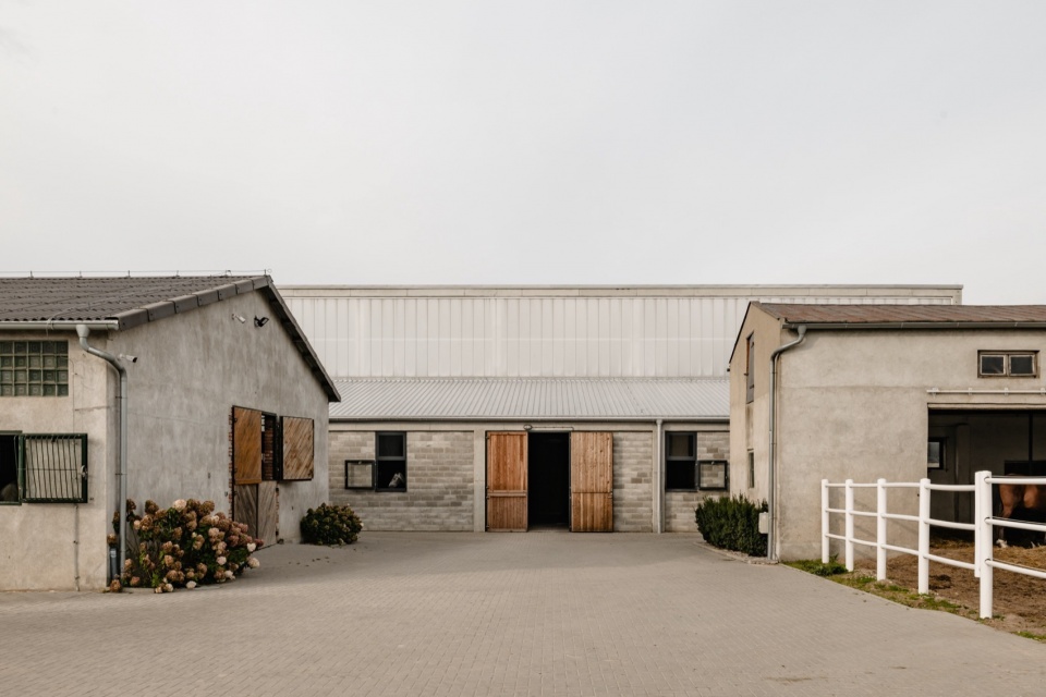 horse house wiercinski studio 6 b