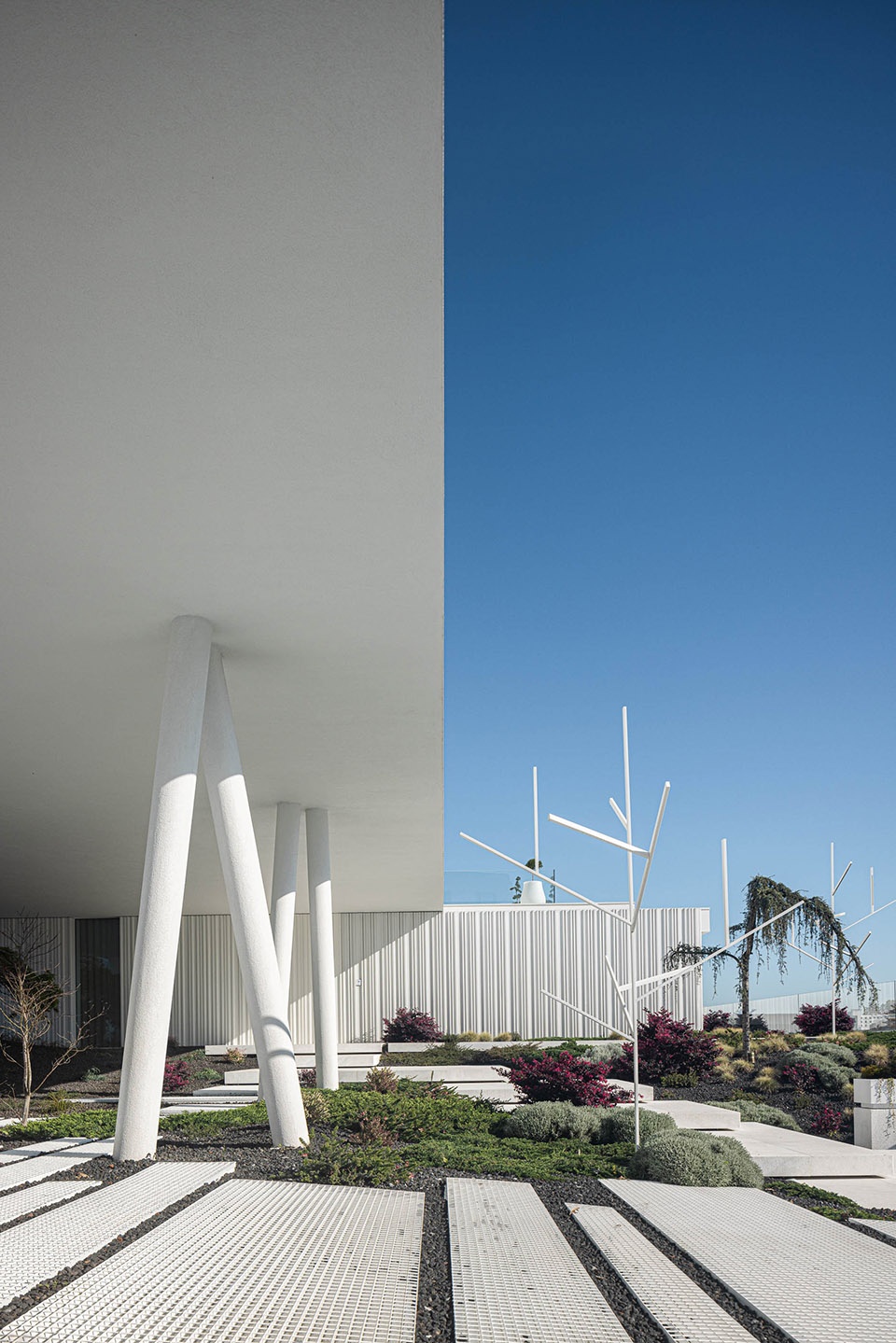 RiscoWhite by Risco Singular