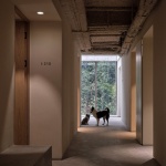 梯院｜杭州青山青年社 / 间筑设计