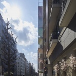 垂直彩虹，东京 / SAKO Architects