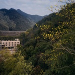 梯院｜杭州青山青年社 / 间筑设计