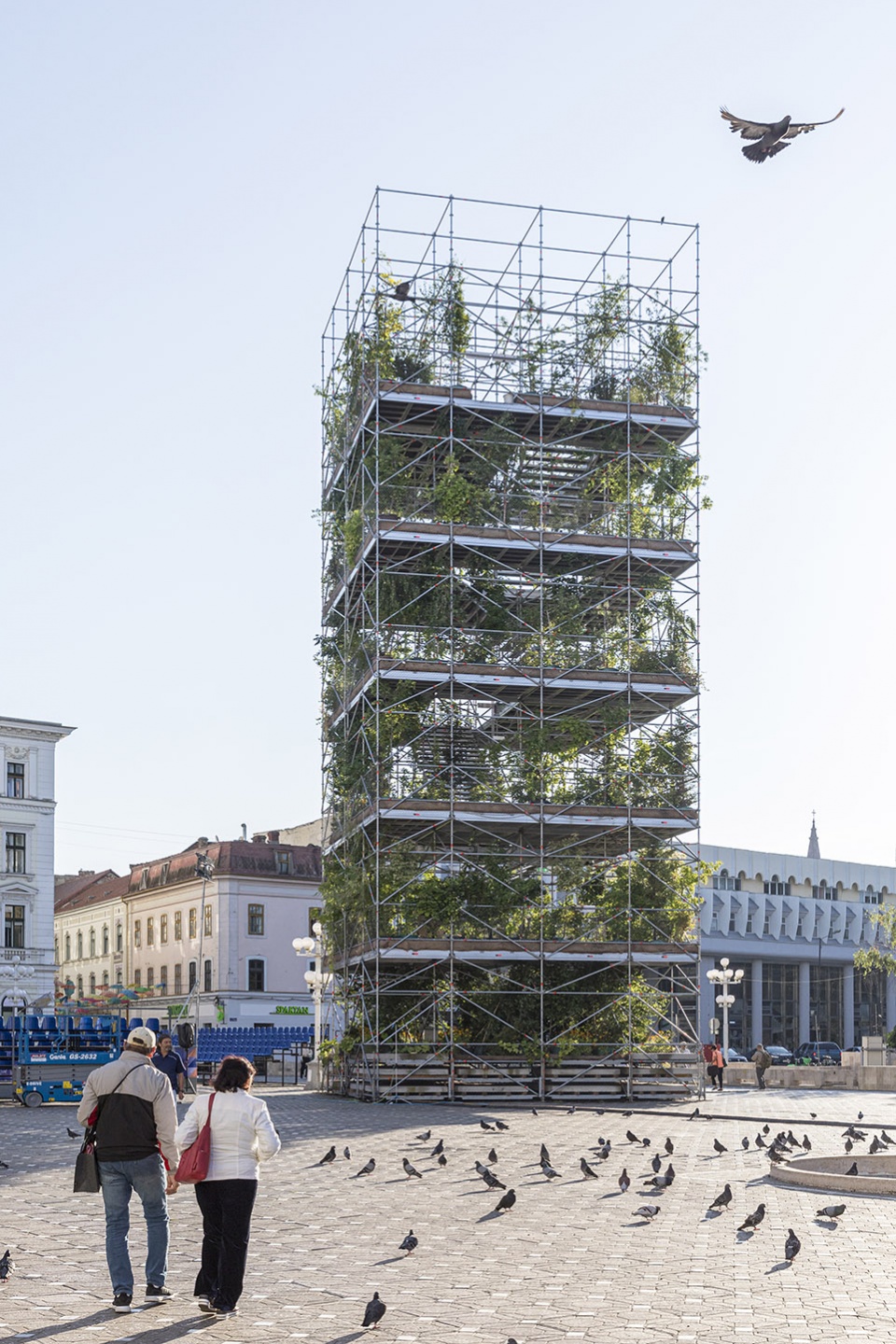 nursery 1306 plants for timisoara by maio