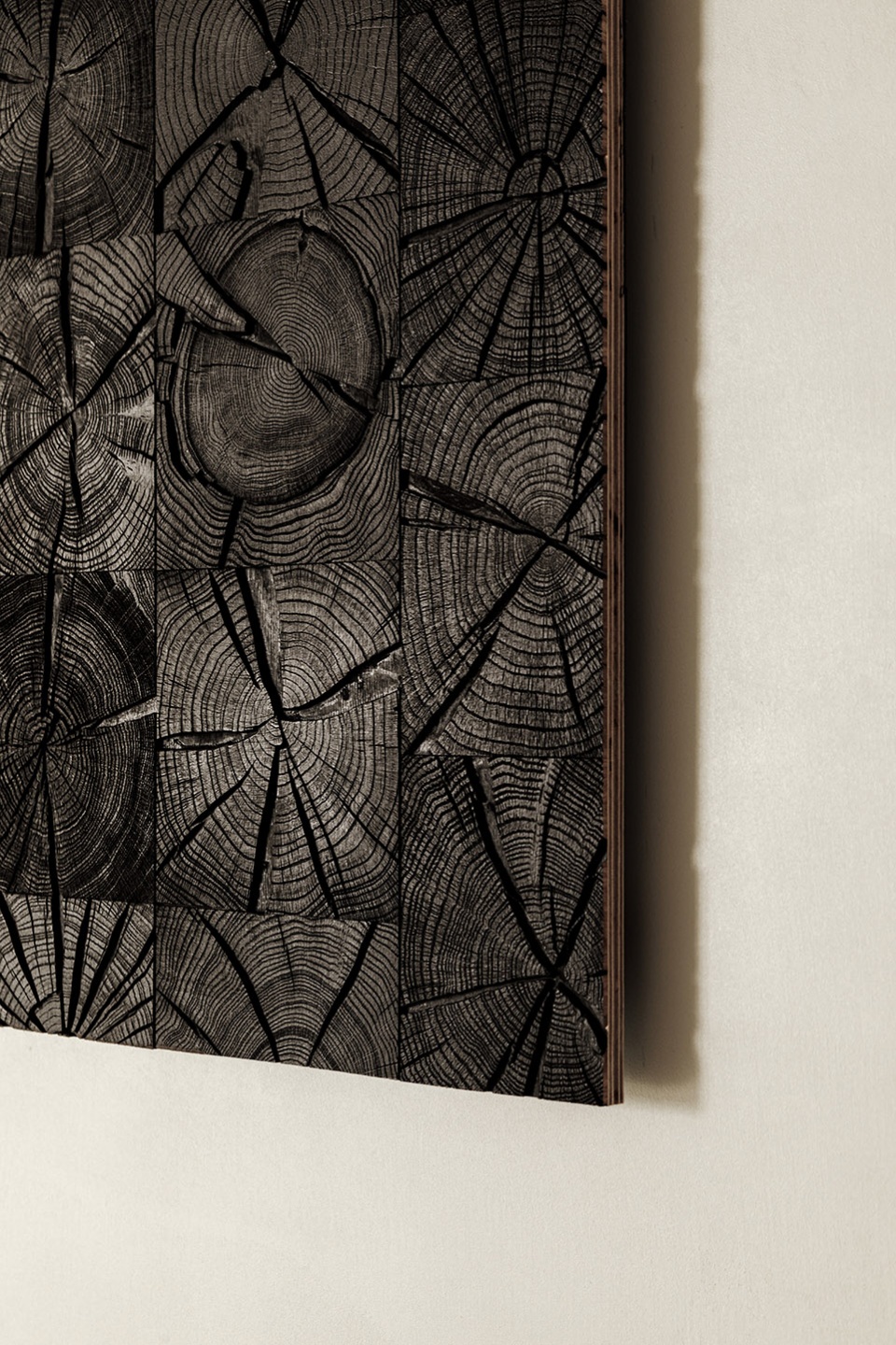 teri gallery by tspace design