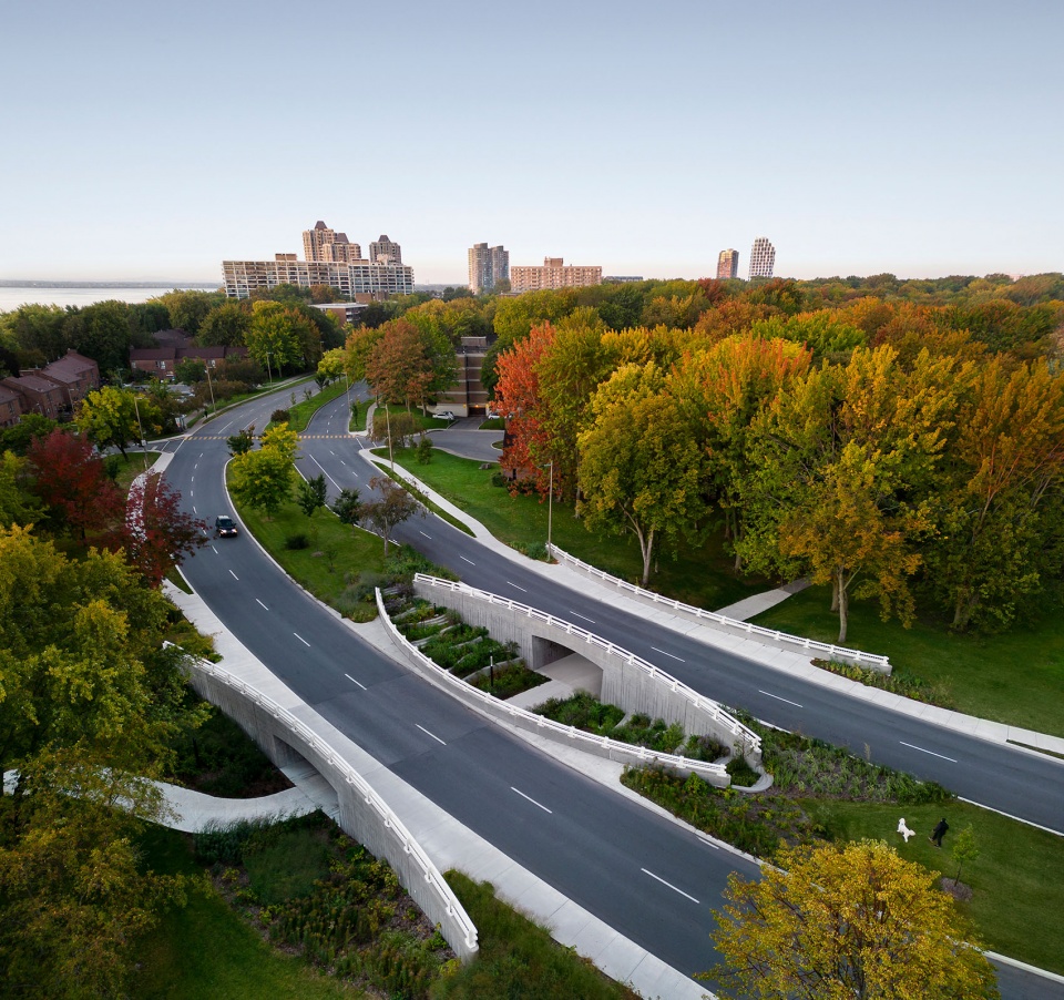 Darwin Bridges Provencher Roy