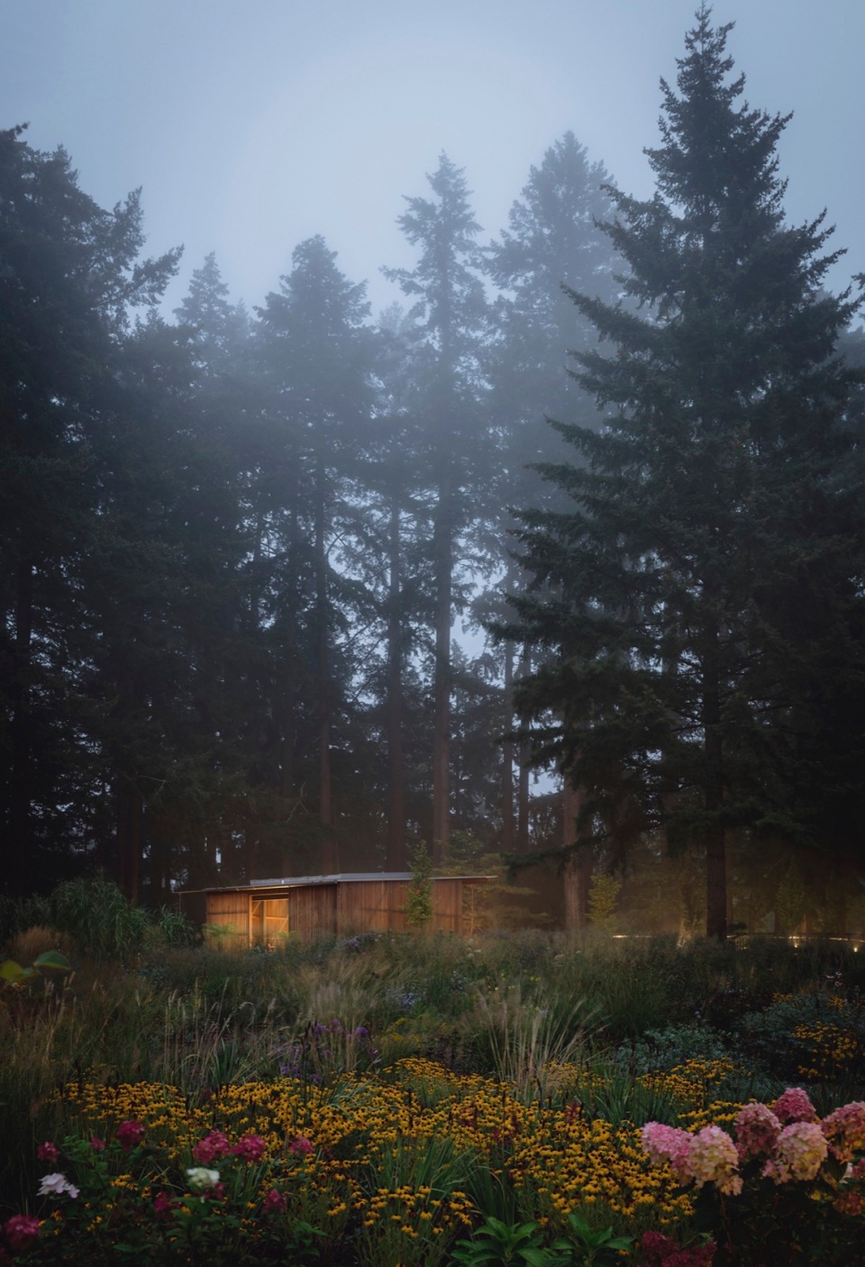 leach botanic garden by land morphology