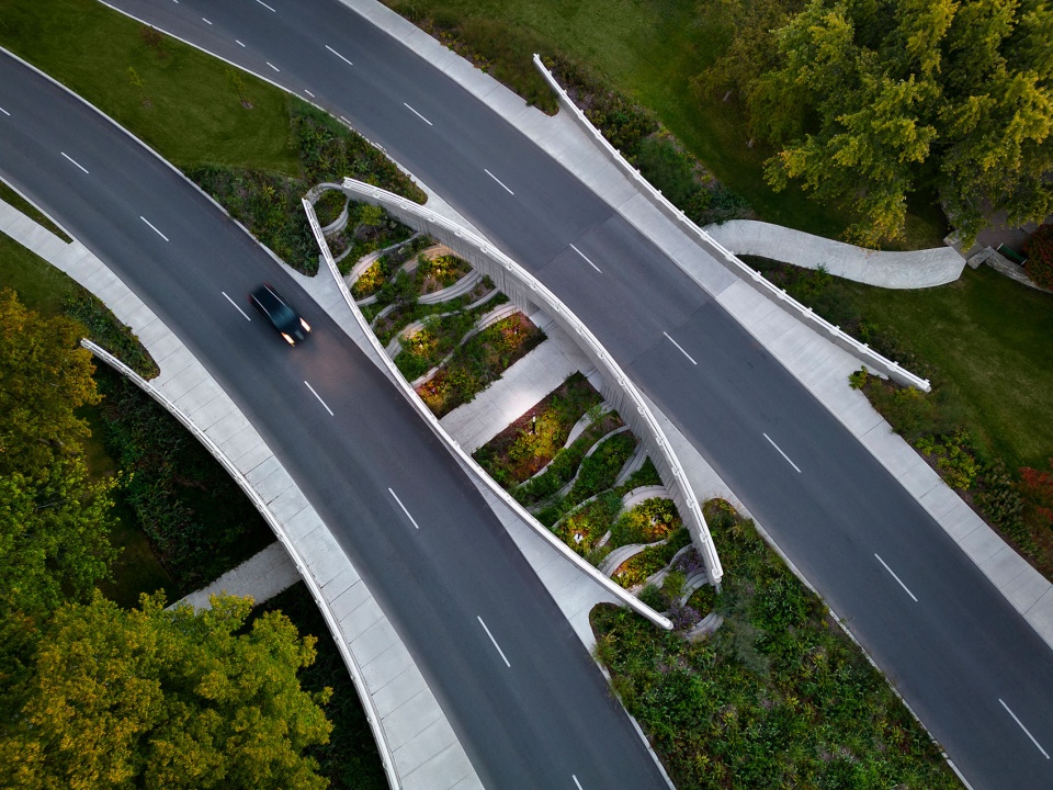 Darwin Bridges Provencher Roy