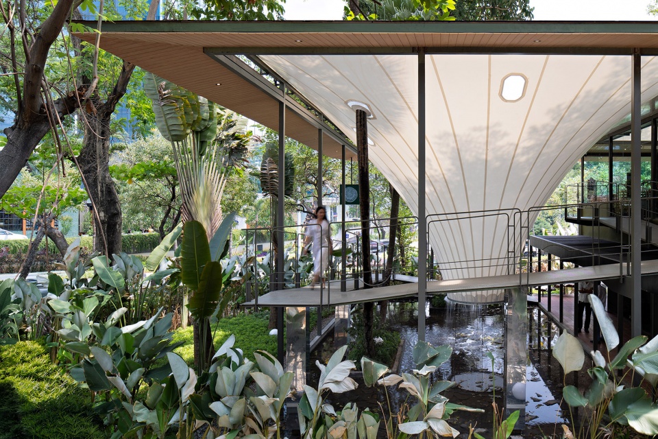 stalk tree hugger bar by radar architects