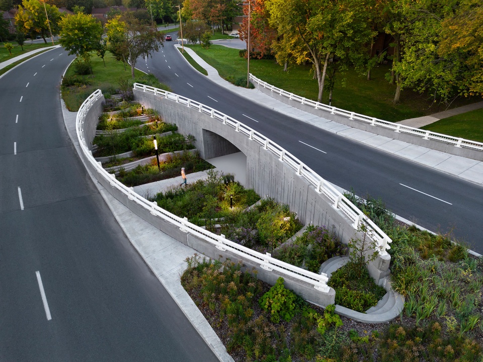Darwin Bridges Provencher Roy