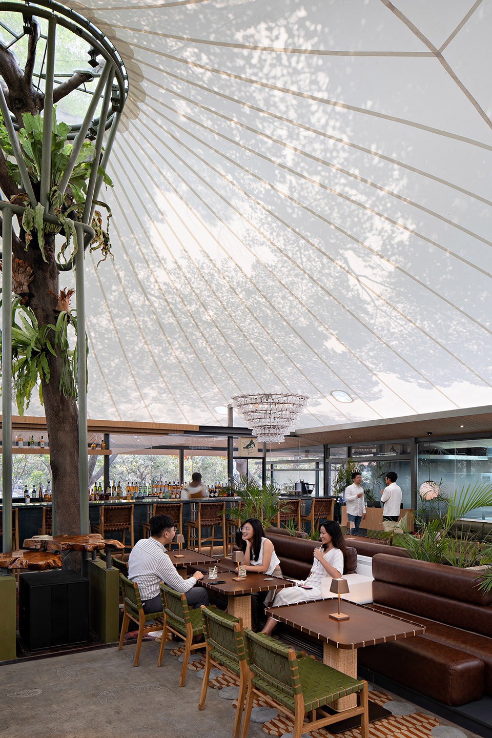 stalk tree hugger bar by radar architects