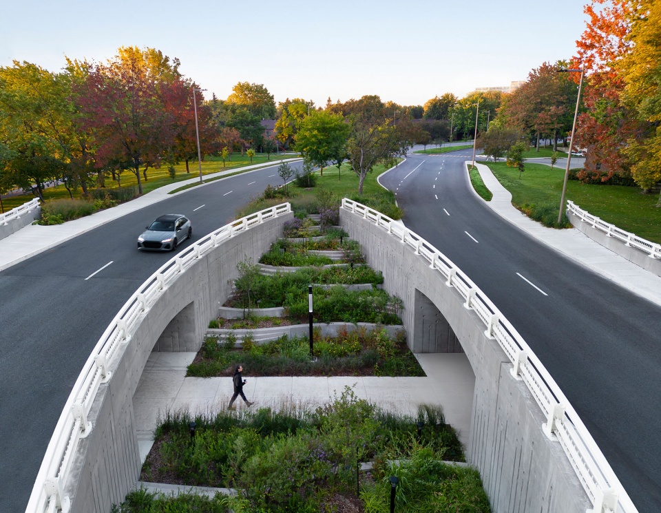 Darwin Bridges Provencher Roy