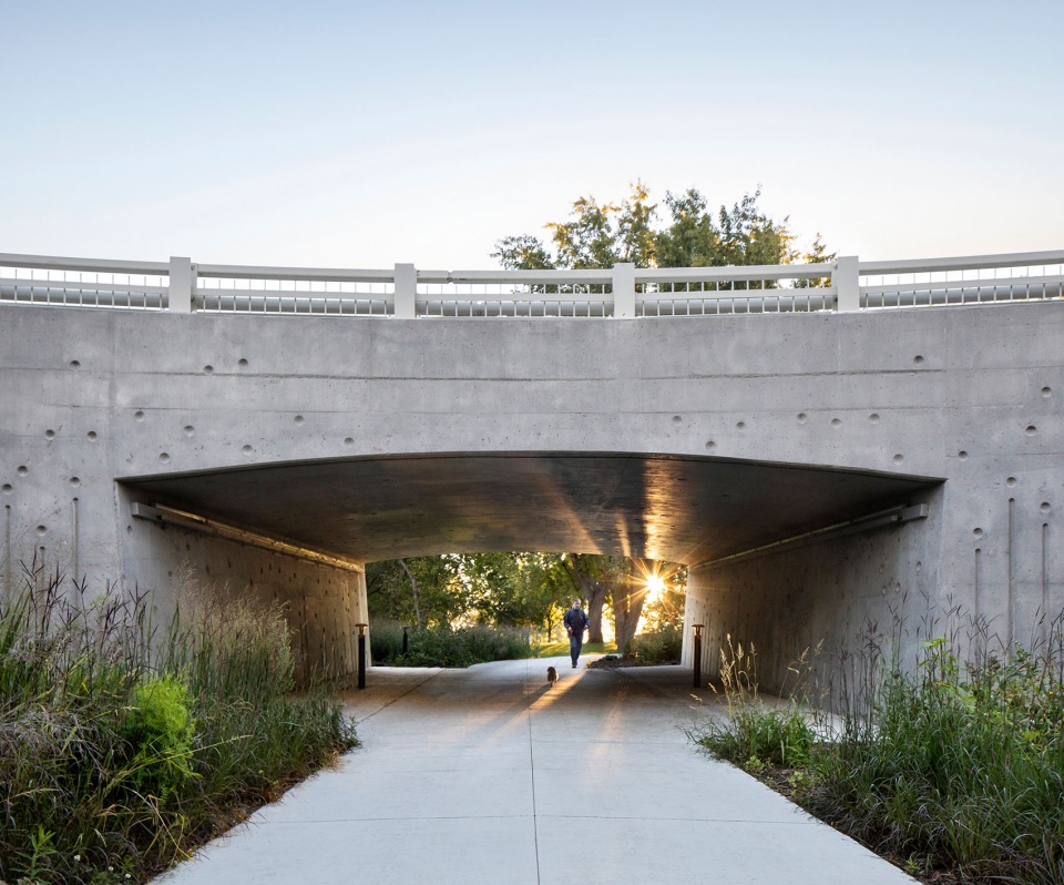 Darwin Bridges Provencher Roy