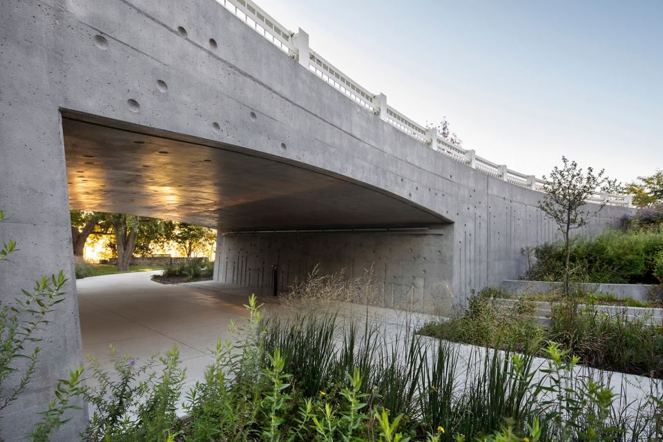 Darwin Bridges Provencher Roy