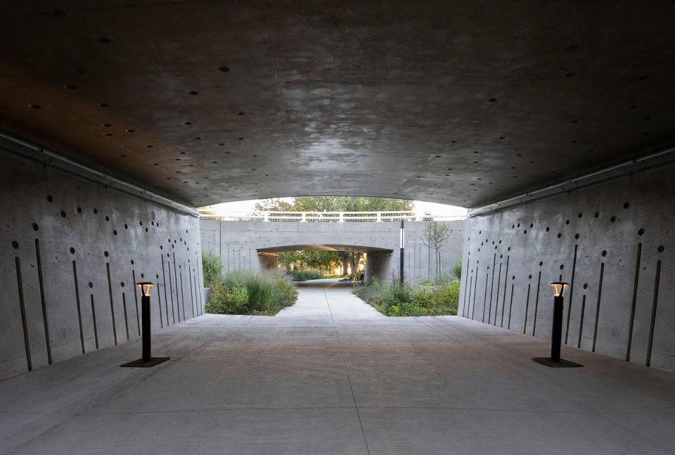 Darwin Bridges Provencher Roy