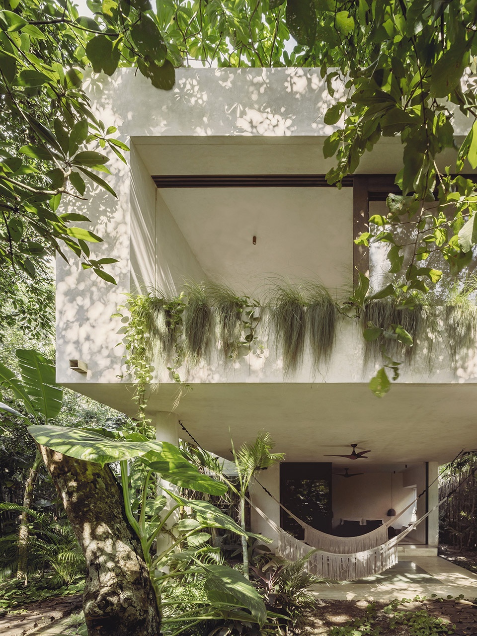 casa tepui by co lab design office