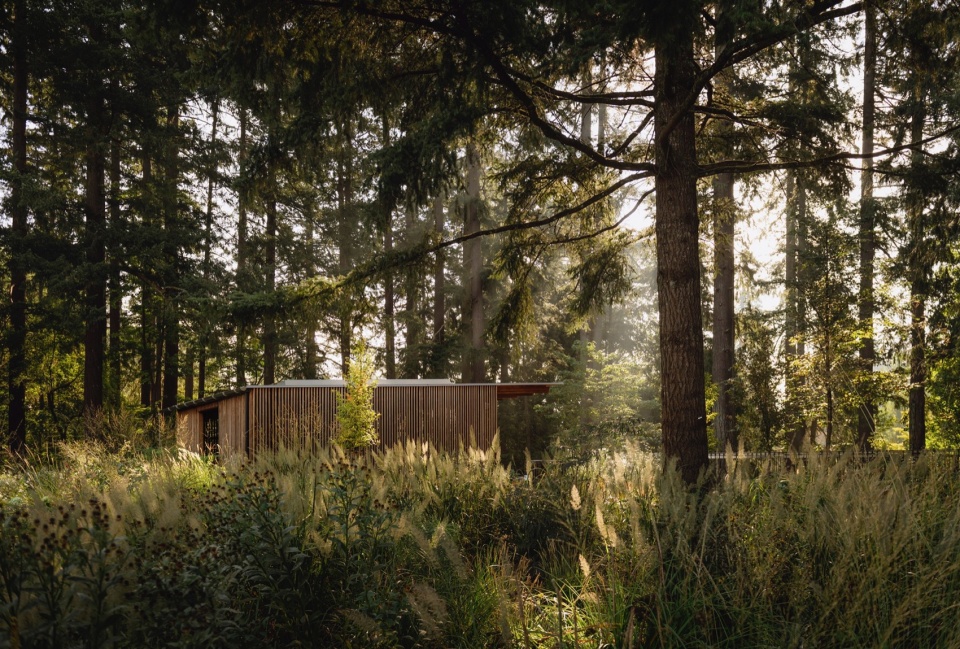 leach botanic garden by land morphology