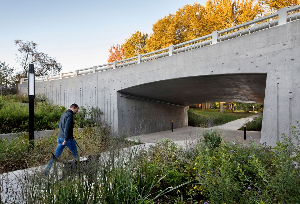 Darwin Bridges Provencher Roy