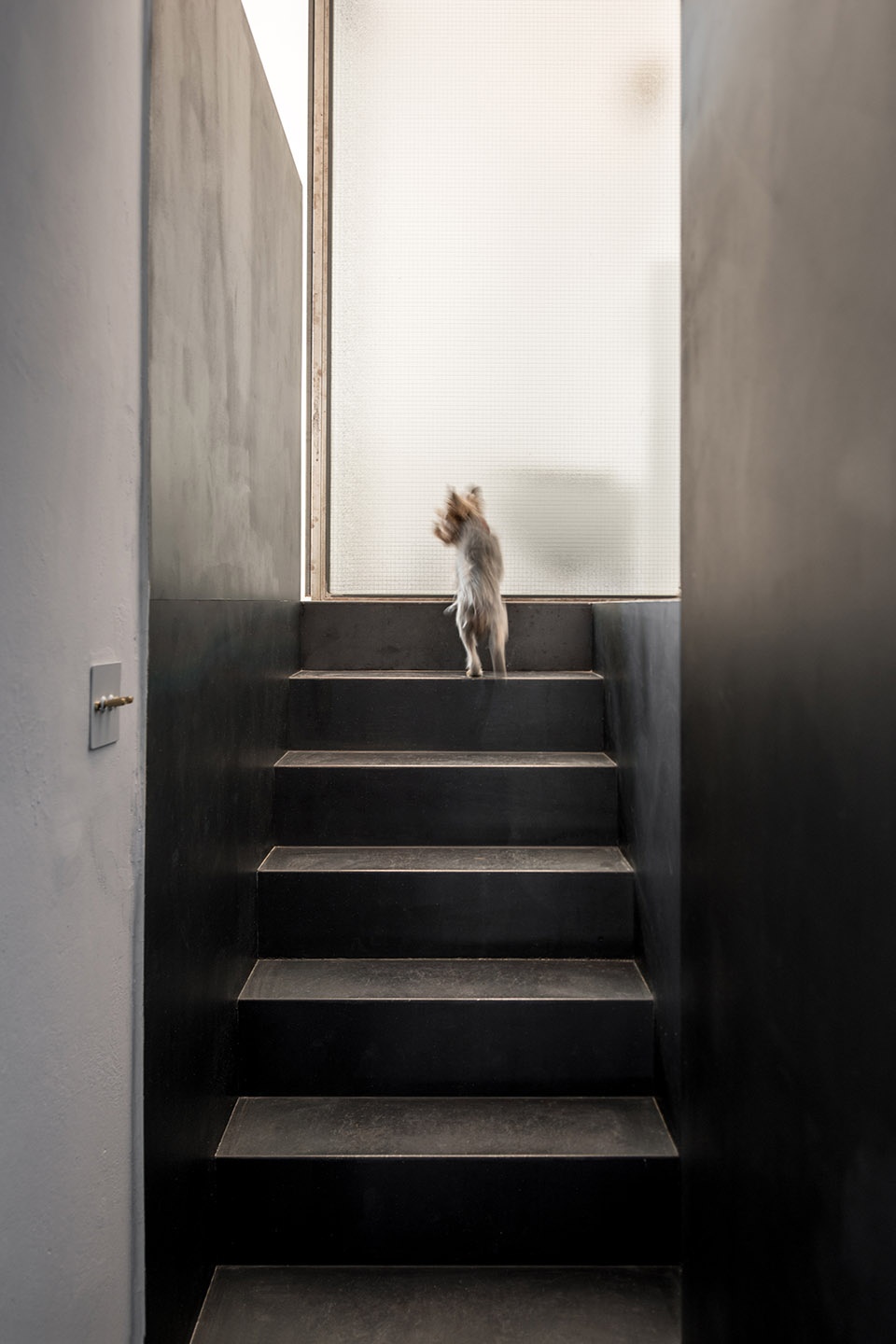 CBO by Mold architects Iliana Kerestetzi