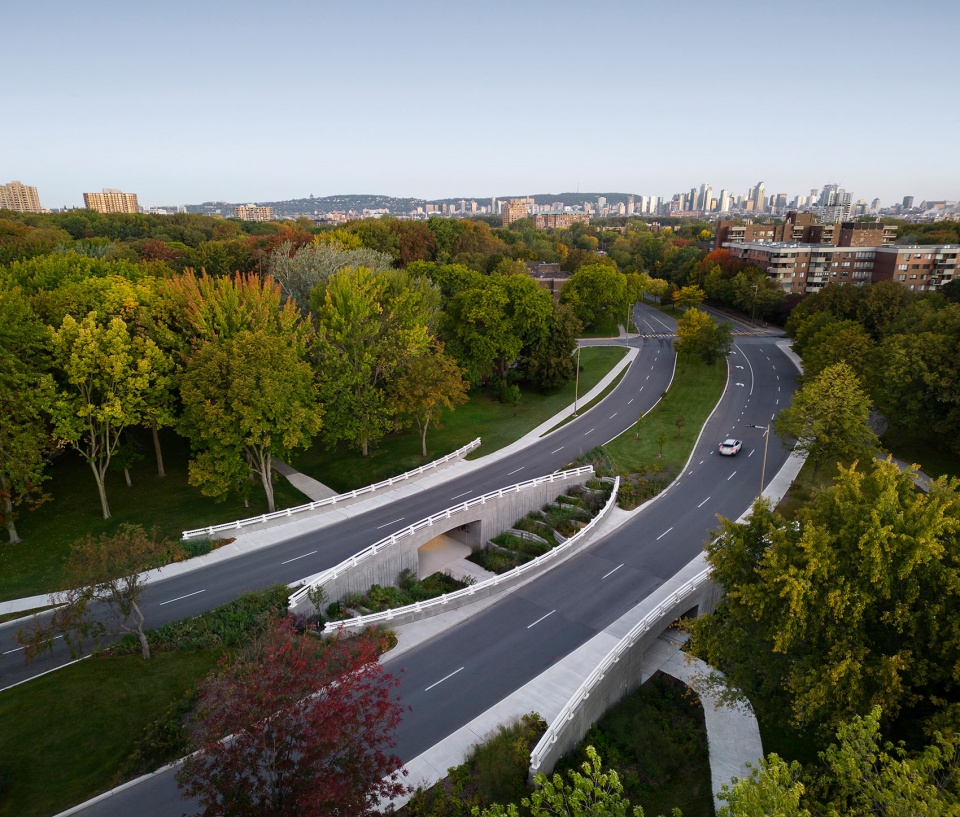 Darwin Bridges Provencher Roy