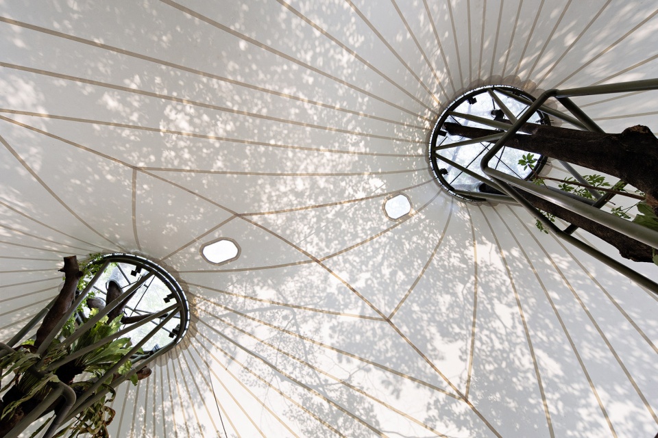 stalk tree hugger bar by radar architects