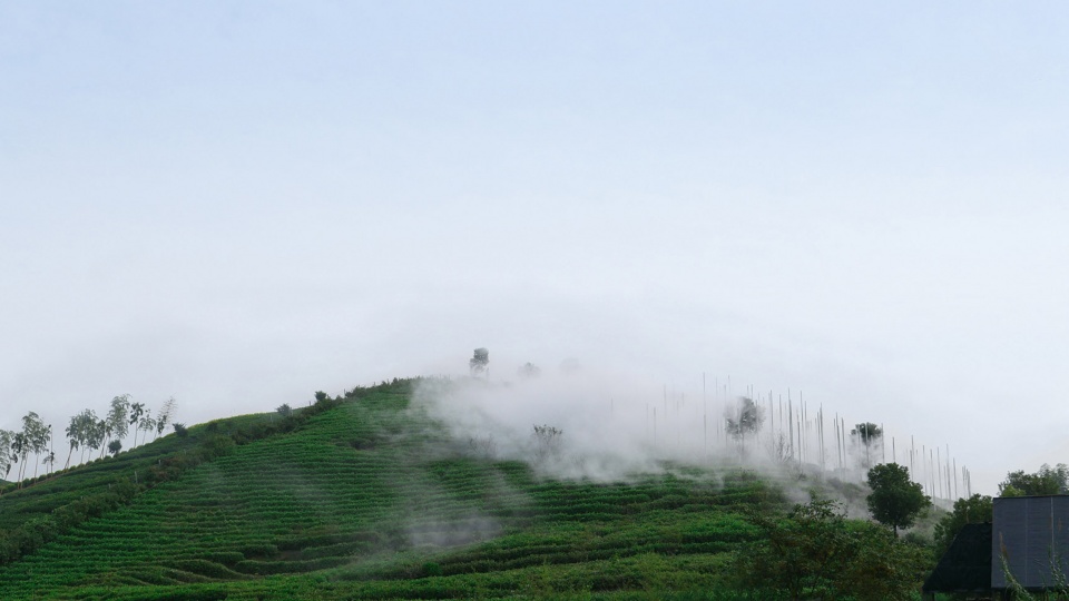 Cloud Tea Room China by PLAT ASIA