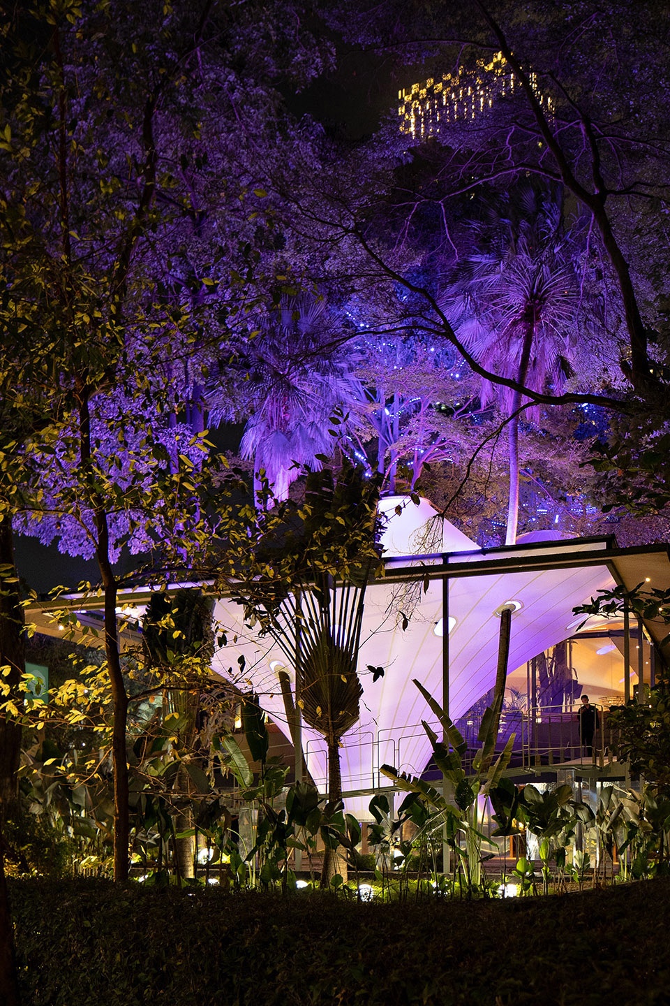stalk tree hugger bar by radar architects