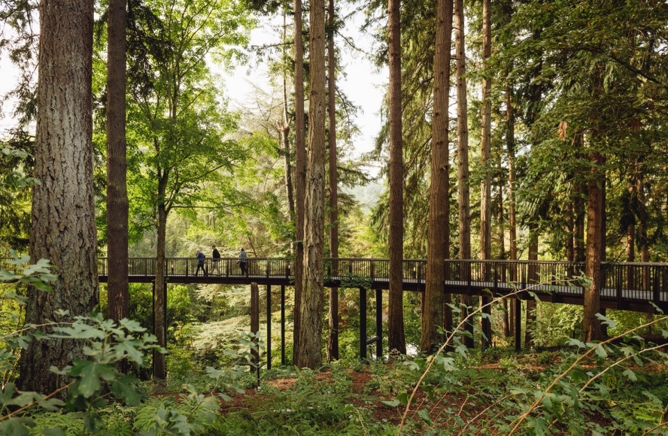 leach botanic garden by land morphology