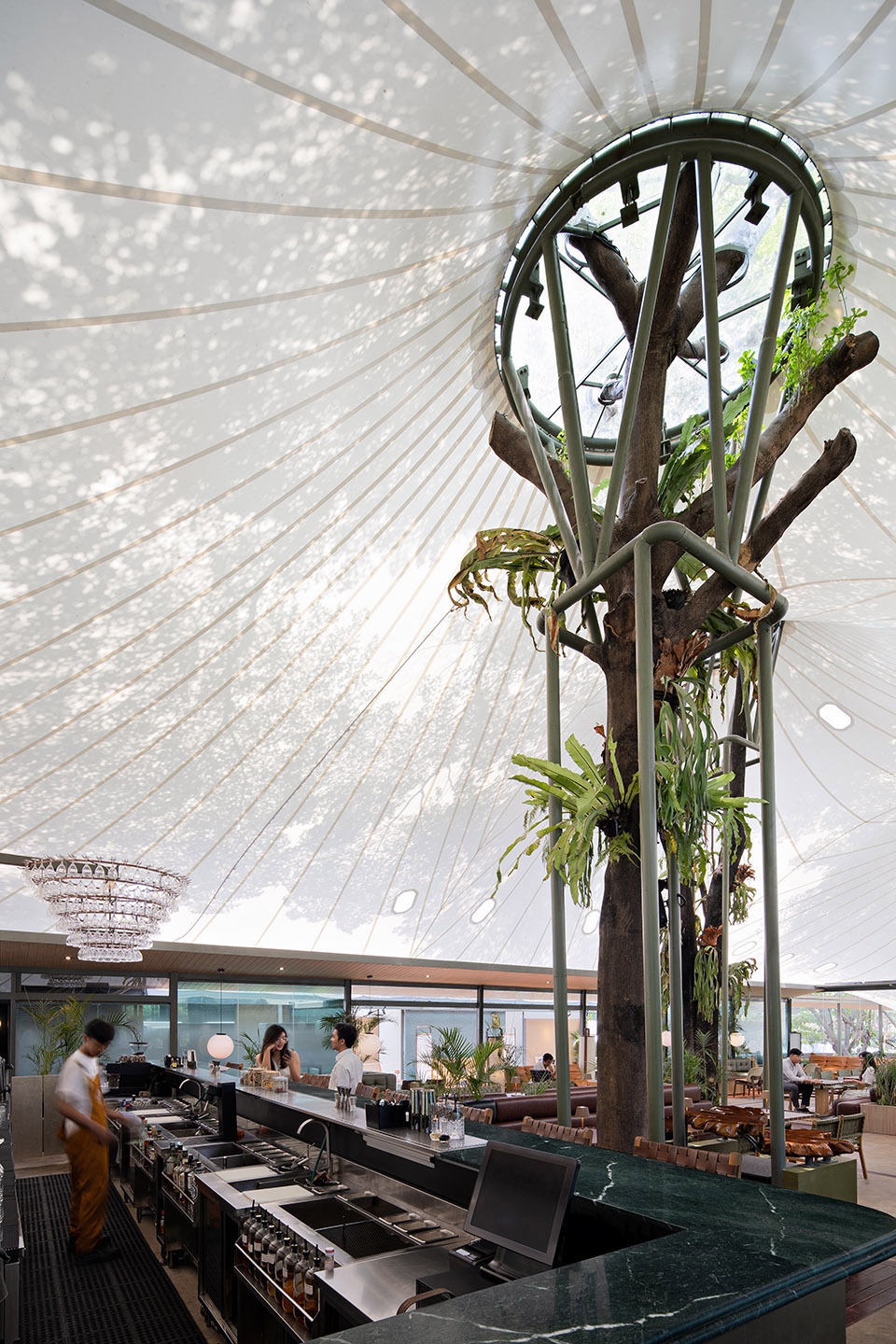 stalk tree hugger bar by radar architects