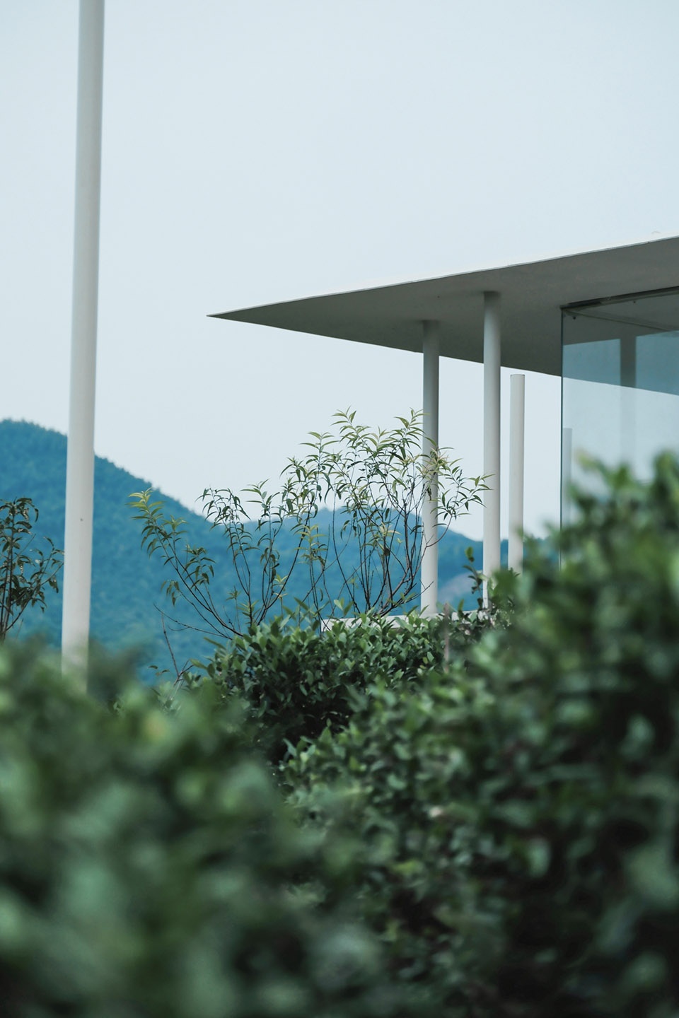 Cloud Tea Room China by PLAT ASIA