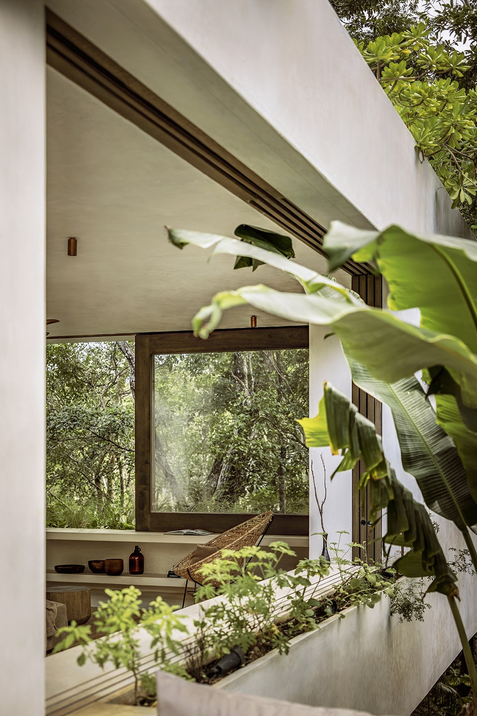 casa tepui by co lab design office