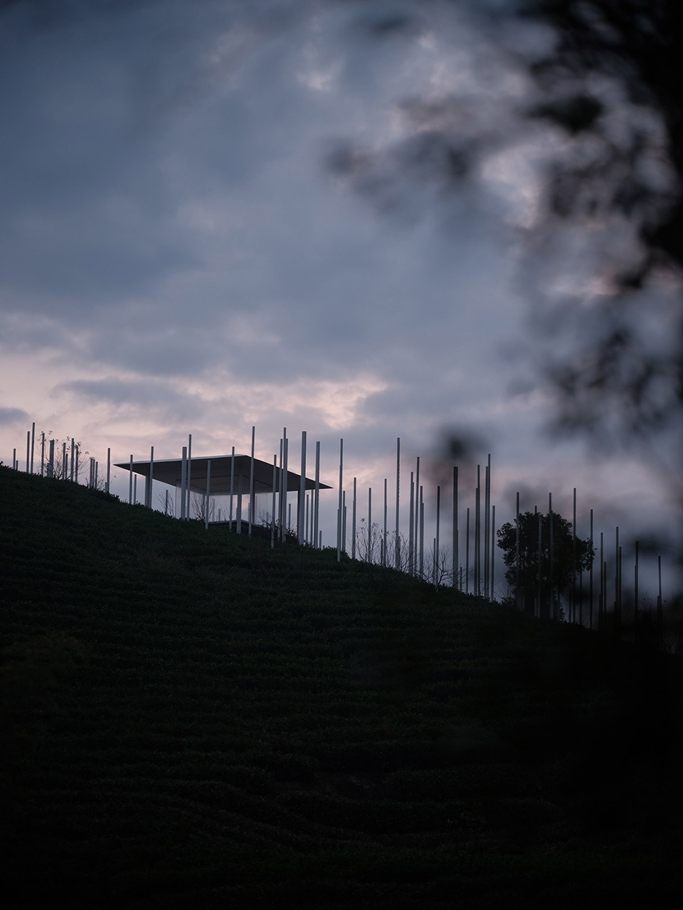 Cloud Tea Room China by PLAT ASIA