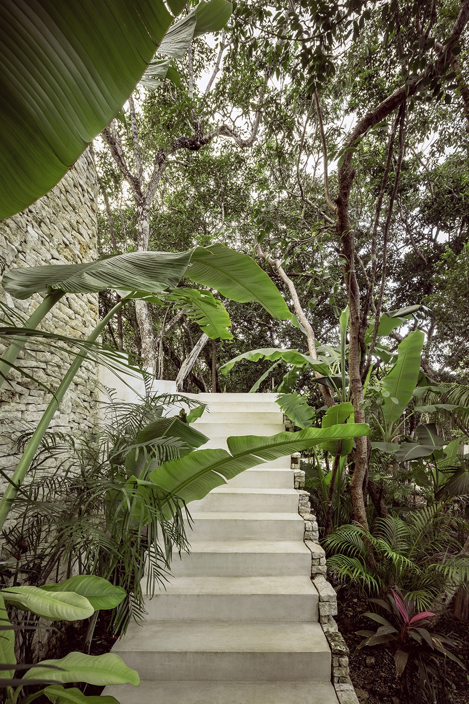 casa tepui by co lab design office