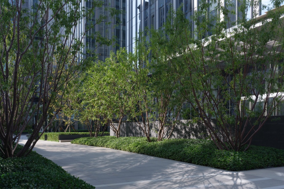 TIMES PLAZA China by UNLIMITED METROPOLIS