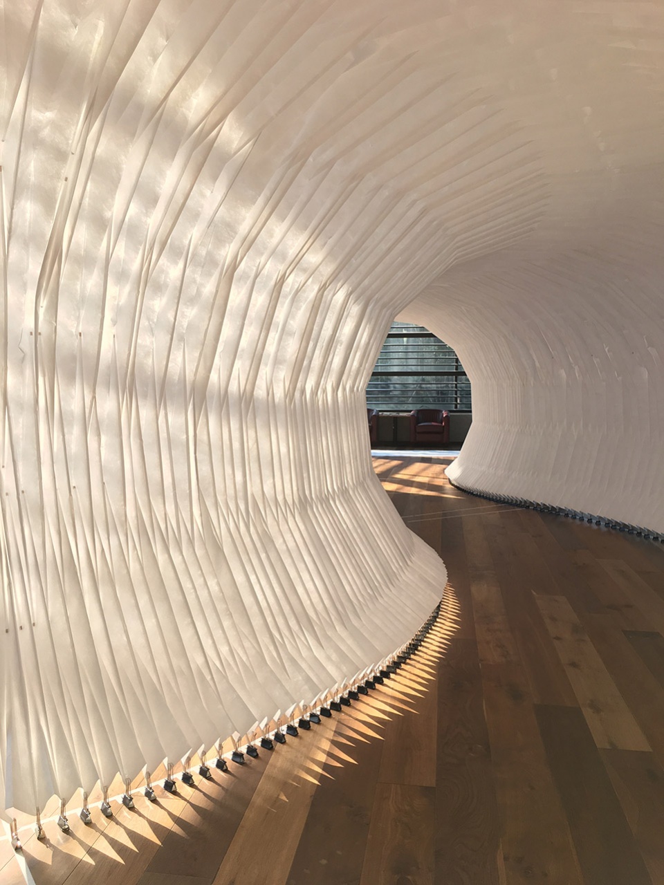 egg exploratorium by fcjz