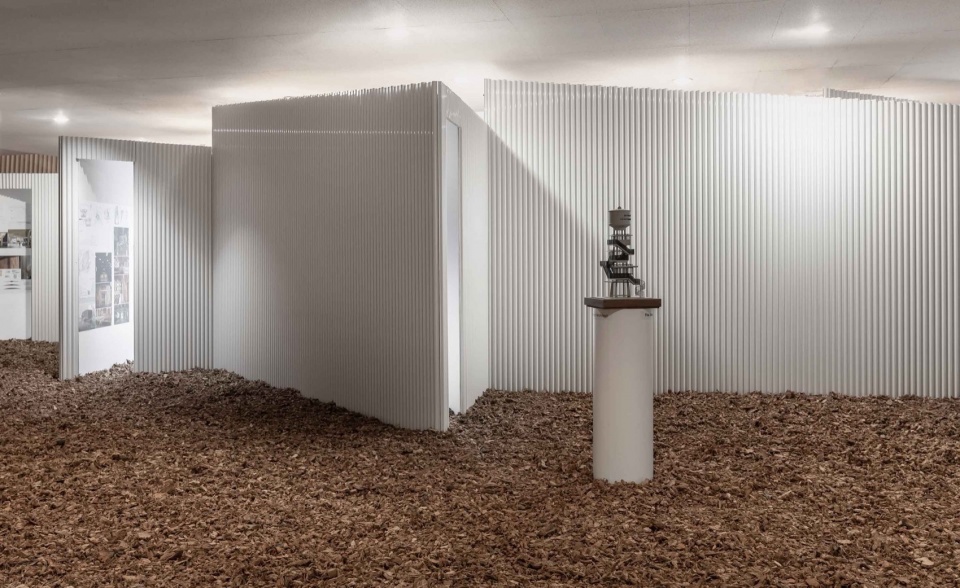 Physical model located in the Infinity Ground Forest ©Ketsiree Wongwan