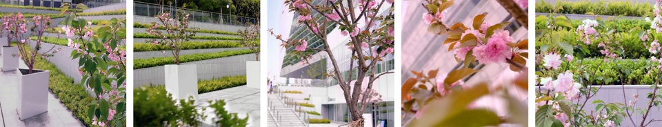 上海图书馆东馆 ASPECT Studios