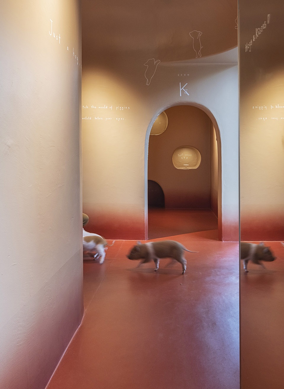 pignic cafe yoyogi park by kamitopen