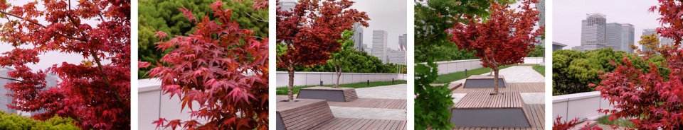 上海图书馆东馆 ASPECT Studios