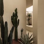 SOFT Clothing Store-A.N.D Studio