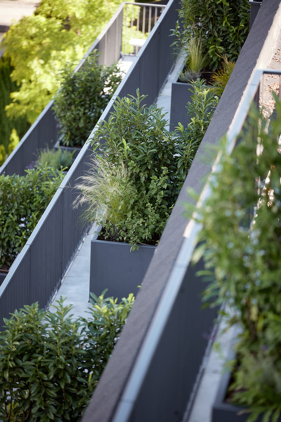 mb 110 bierbrunnen by lechner lechner architects