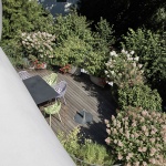 Amorph Living sculpture by lechner & lechner architects
