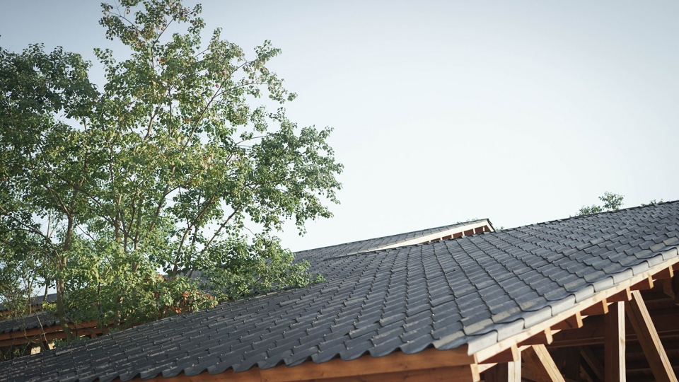 continuous roof wooden structure in dongyang by galaxy arch