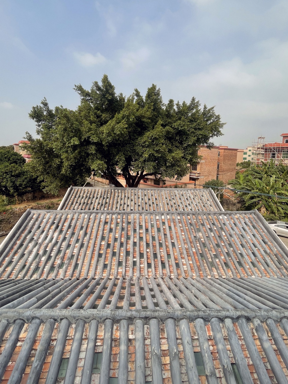 平沙岛村口蚕房 广东南海大地艺术节 木月建筑设计事务所