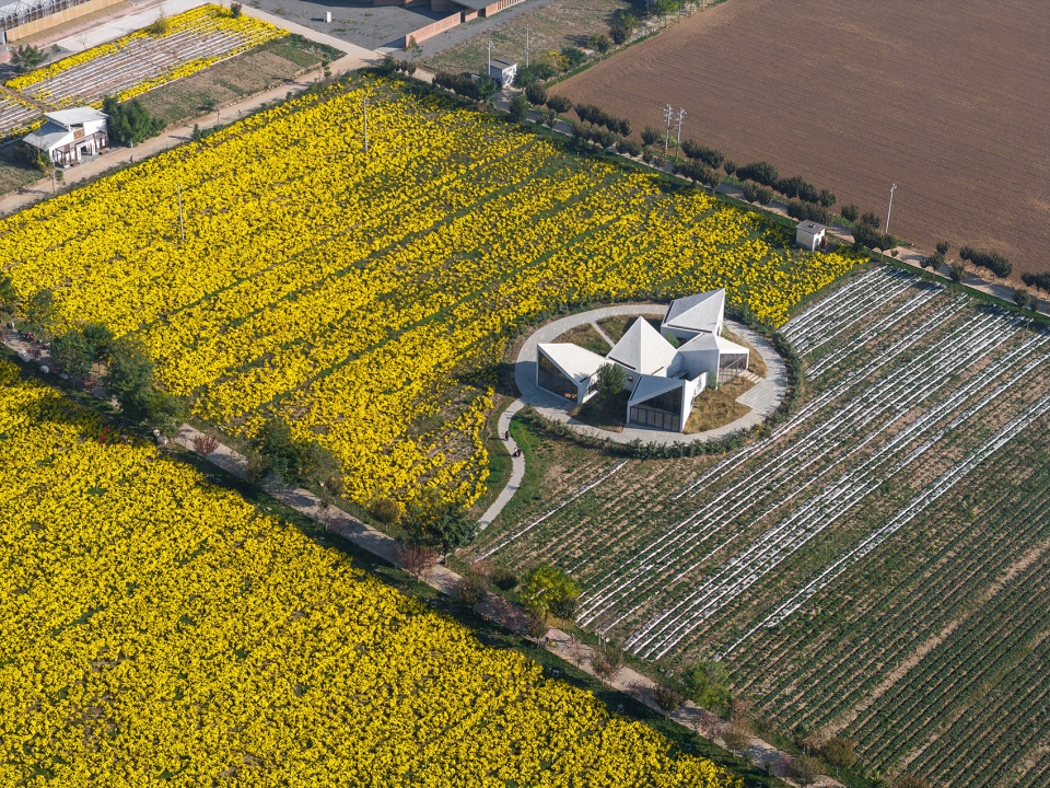 The Library In Ice Chrysanthemum Field China by ATELIER XI
